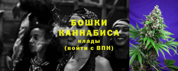 стаф Балахна