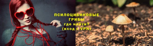 стаф Балахна
