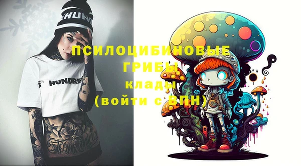 PSILOCYBIN Баксан