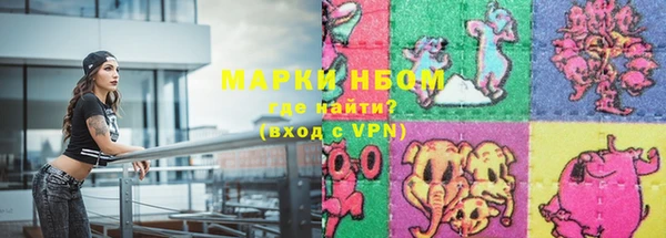 стаф Балахна