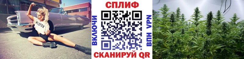 blacksprut онион  Киров  Марихуана конопля  наркота 